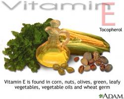 Tìm hiểu về Vitamin E