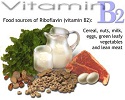 Xác định hàm lượng Vitamin B2 trong thực phẩm bằng sắc ký lỏng