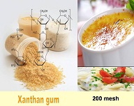 Các loại Gum sử dụng trong thực phẩm