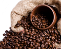 Hàm lượng cafein trong cà phê phụ thuộc nhiều yếu tố
